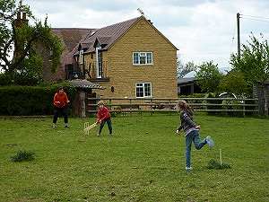 Cricket in field